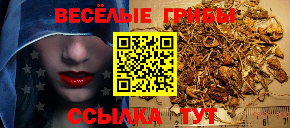Галлюциногенные грибы мухоморы Гусиноозёрск
